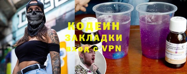 прущие грибы Беслан