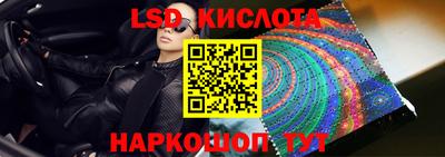 прущие грибы Кандалакша