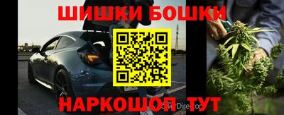прущие грибы Камышлов