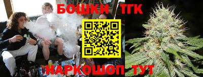 прущие грибы Кандалакша