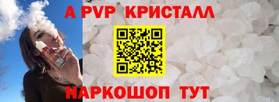 прущие грибы Камышлов