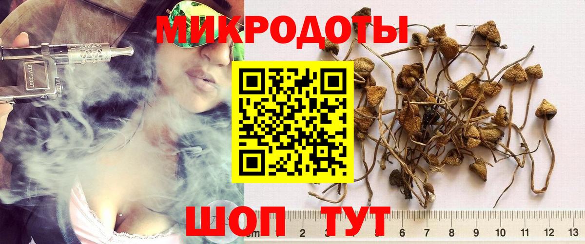 Псилоцибиновые грибы Коркино